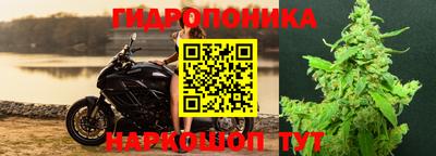мяу мяу мука Кулебаки