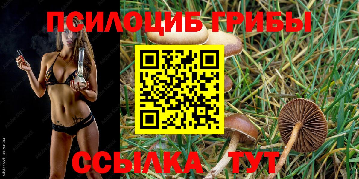 Добрянка  Псилоцибиновые грибы Psilocybine cubensis  Галлюциногенные грибы ЛСД  Вход с VPN 