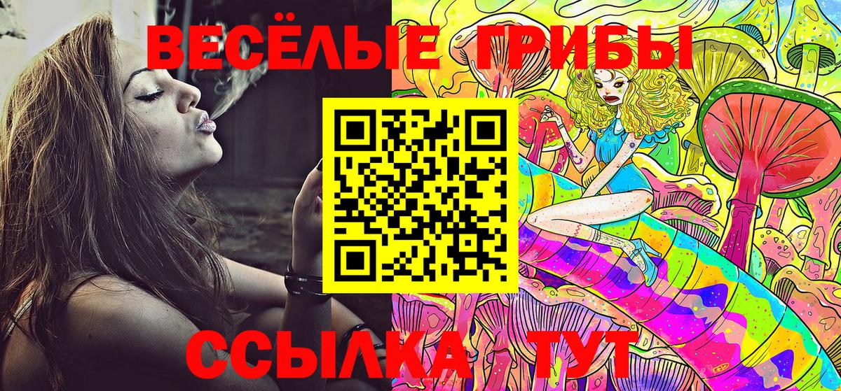 Галлюциногенные грибы Psilocybine cubensis Добрянка